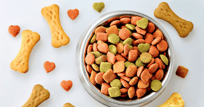 Pet Food & Treats for cat for dog very healty and best