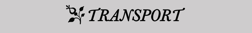 Footwear - Dance Shoes - ballet shoes footwear