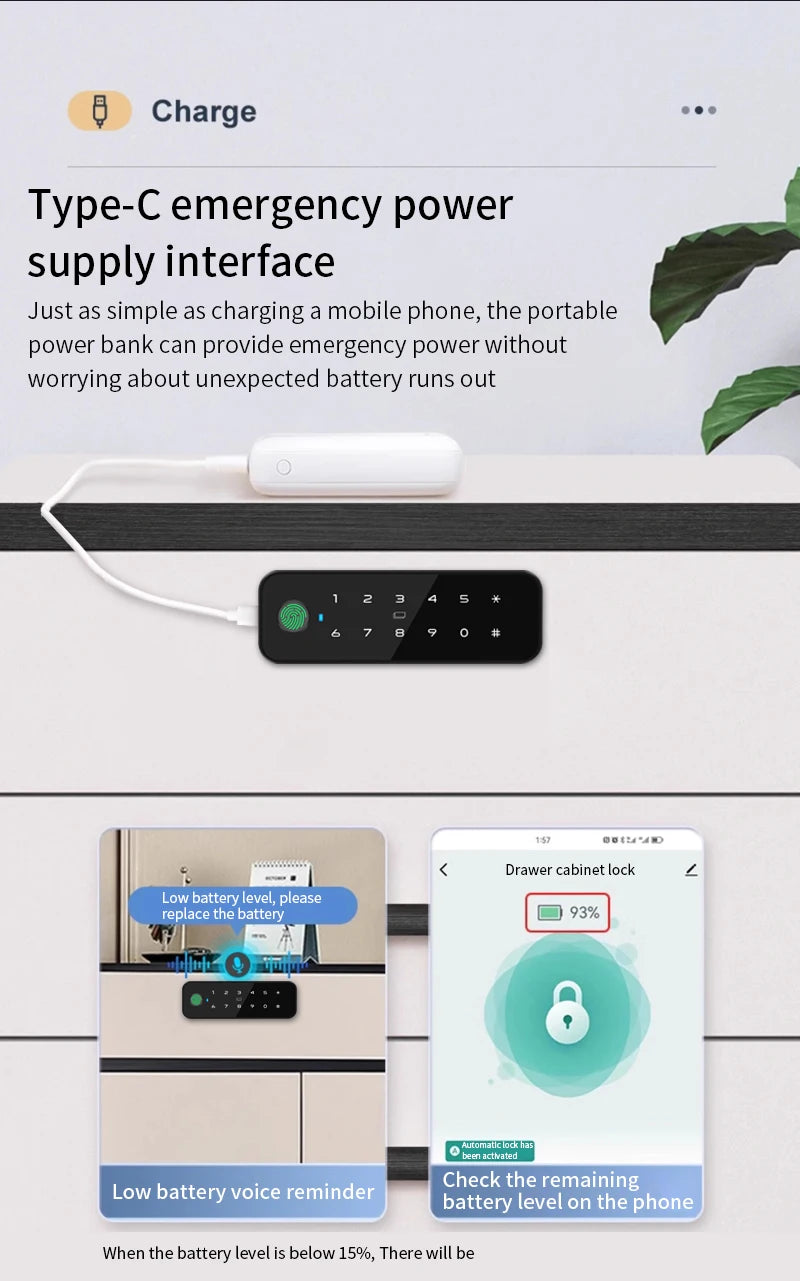 Smart lock for liquor cabinet