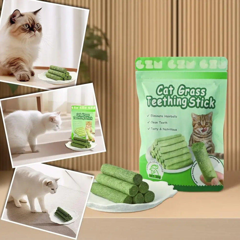 Pet Supplies - Cat Dental Chew Toy Eau de Cologne