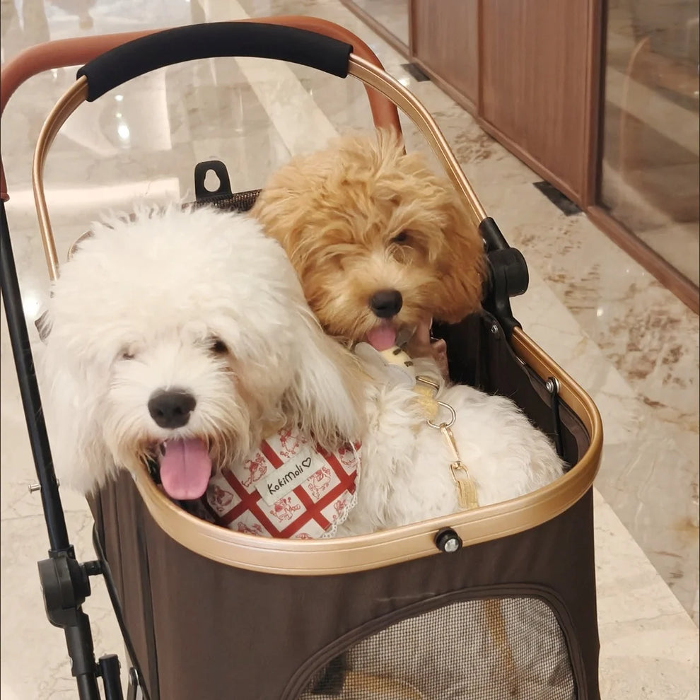 pet stroller for senior dogs - Pet Supplies - Pet Stroller