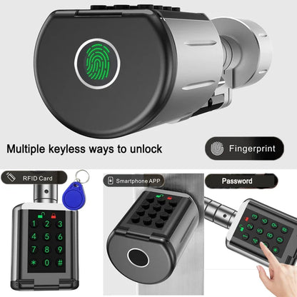 Biometric smart lock
