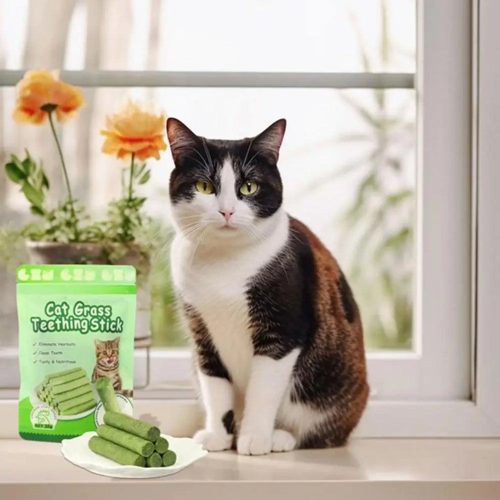 catnip dental chews - Pet Supplies - Cat Dental Chew Toy