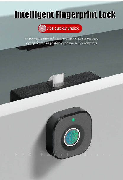 Wifi biometric fingerprint door lock