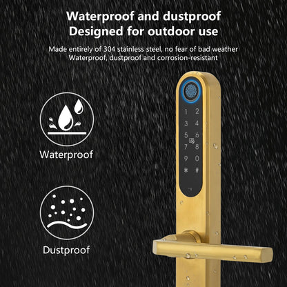 Electronic door lock