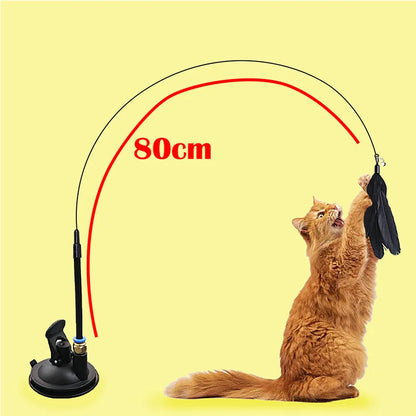interactive cat toys - Pet Supplies - Cat Toy