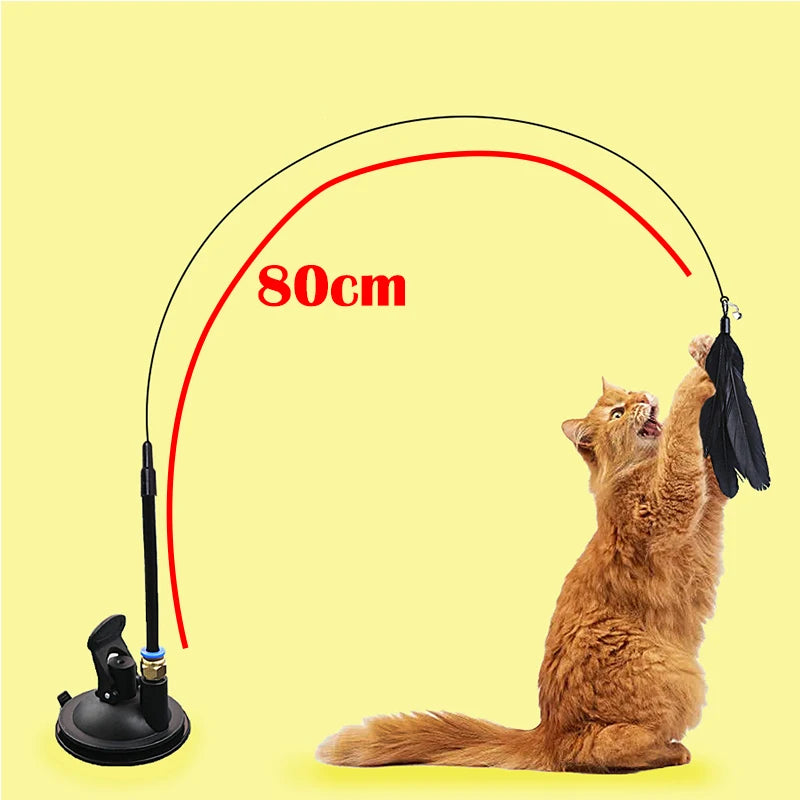 interactive cat toys - Pet Supplies - Cat Toy
