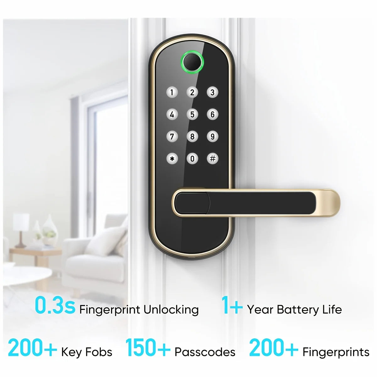 Fingerprint door lock voice control support
