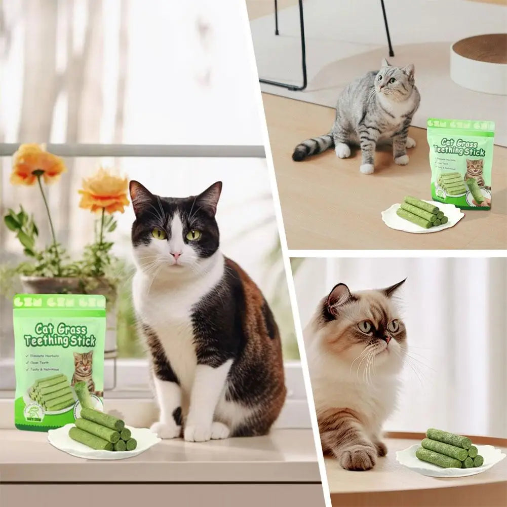 Cat hairball removal snacks