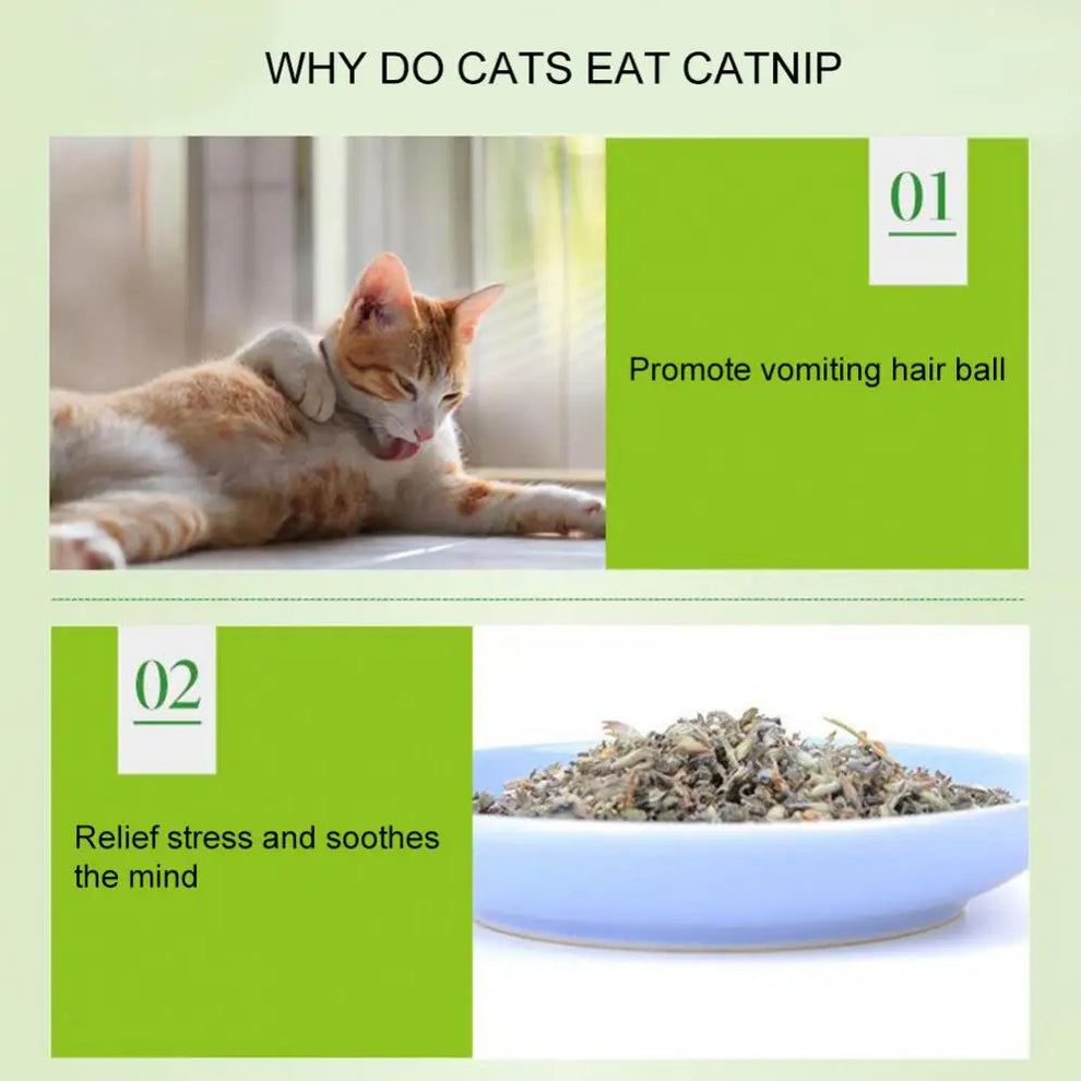 catnip for cats - Pet Supplies - Cat Mint Powder Treats