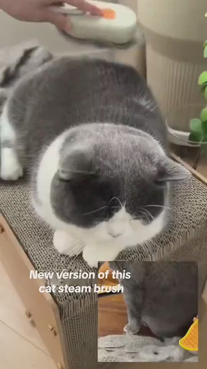 ergonomic steam spray dog brush